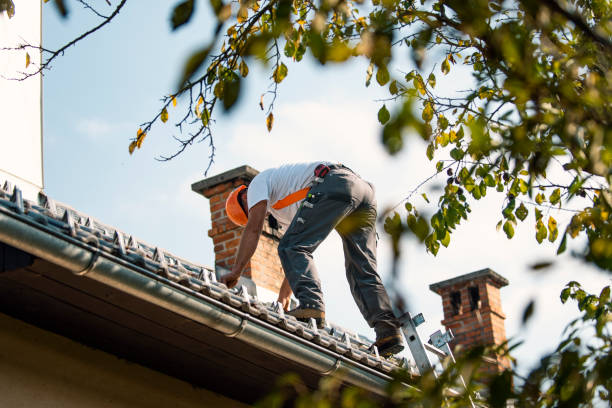 Best Commercial Roofing Services  in Des Peres, MO